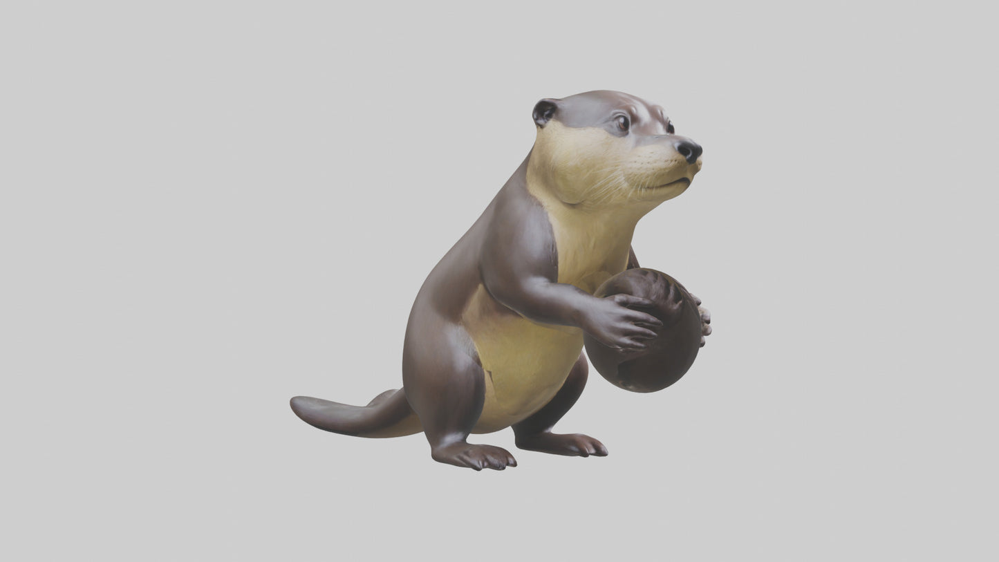 3D model Giant River Otter playing model VR / AR / low-poly