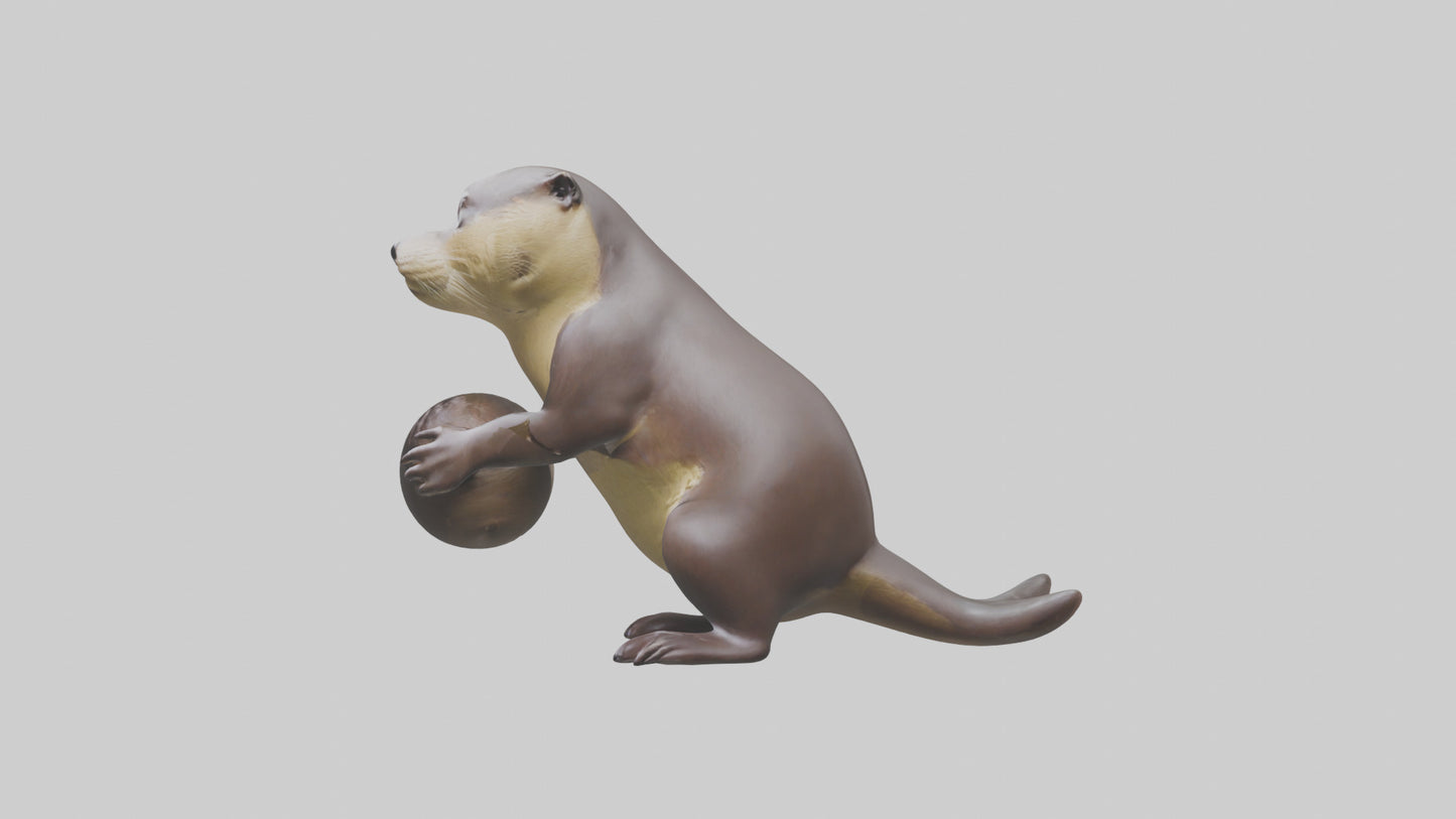 3D model Giant River Otter playing model VR / AR / low-poly