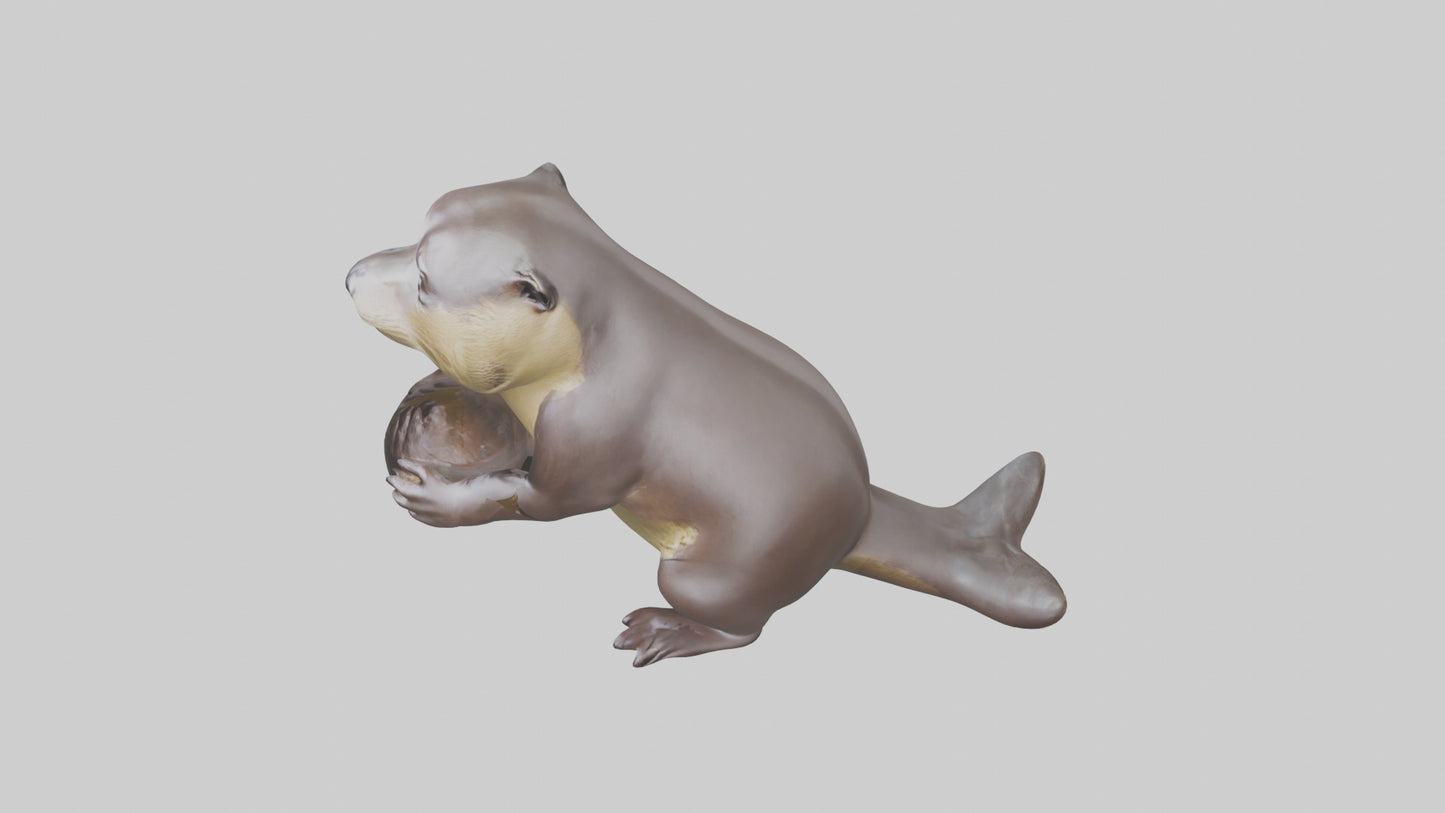3D model Giant River Otter playing model VR / AR / low-poly
