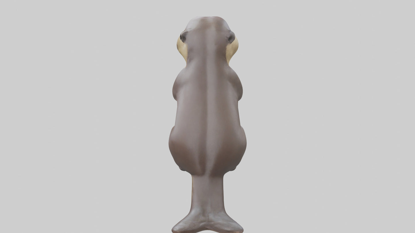 3D model Giant River Otter playing model VR / AR / low-poly