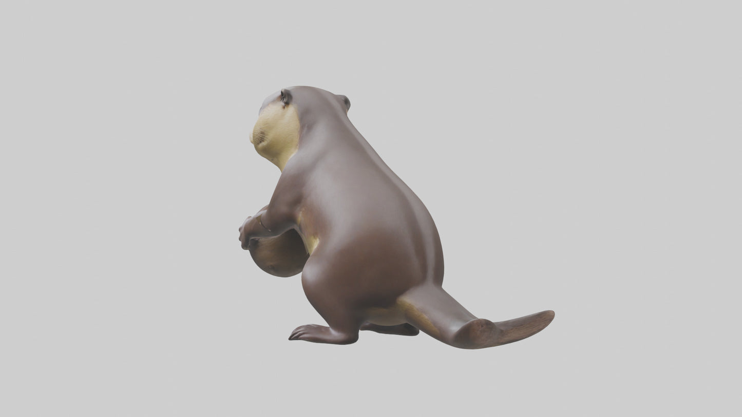3D model Giant River Otter playing model VR / AR / low-poly
