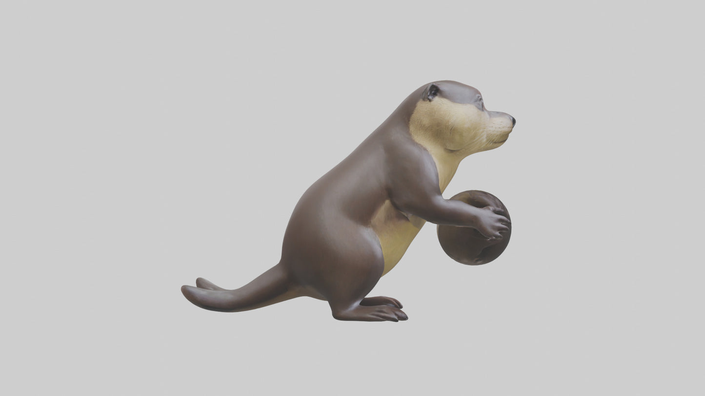 3D model Giant River Otter playing model VR / AR / low-poly