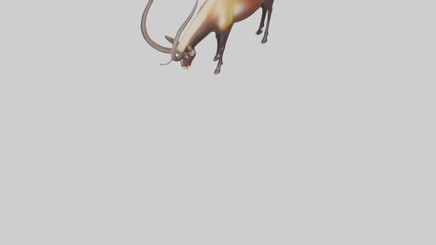 3D model Giant Sable Antelope grazing model VR / AR / low-poly