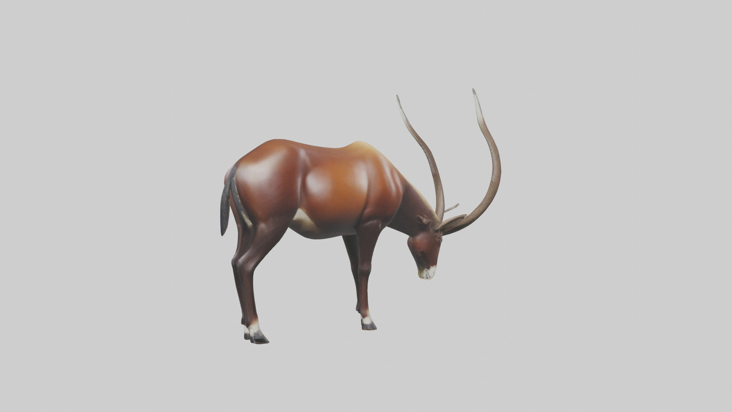 3D model Giant Sable Antelope grazing model VR / AR / low-poly