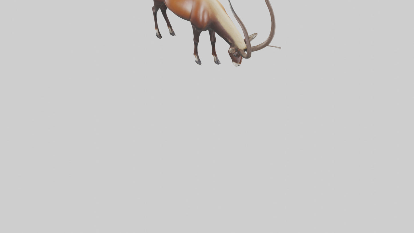 3D model Giant Sable Antelope grazing model VR / AR / low-poly