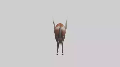 3D model Giant Sable Antelope grazing model VR / AR / low-poly