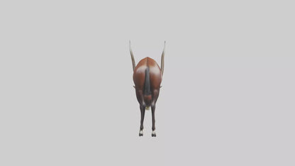 3D model Giant Sable Antelope grazing model VR / AR / low-poly