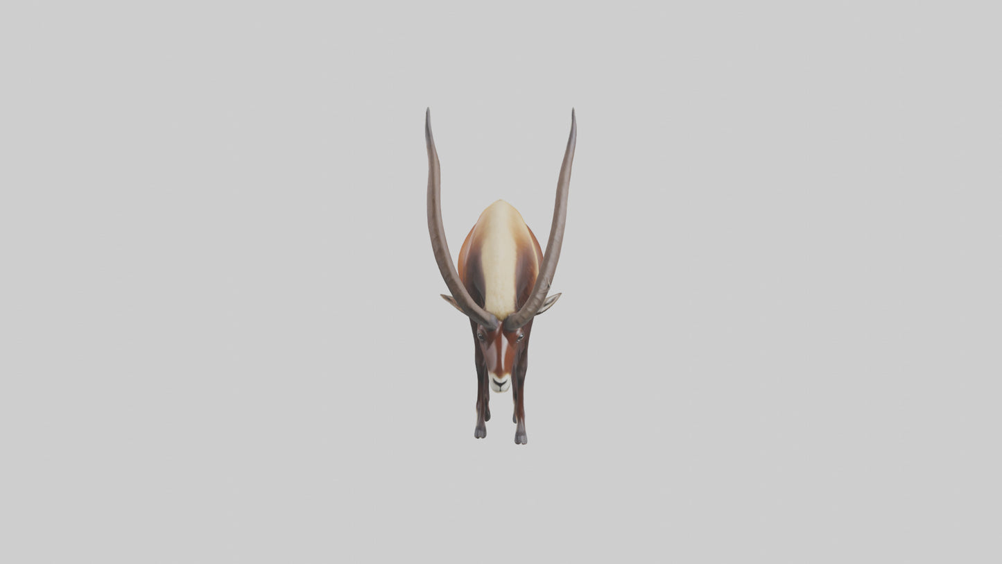 3D model Giant Sable Antelope grazing model VR / AR / low-poly