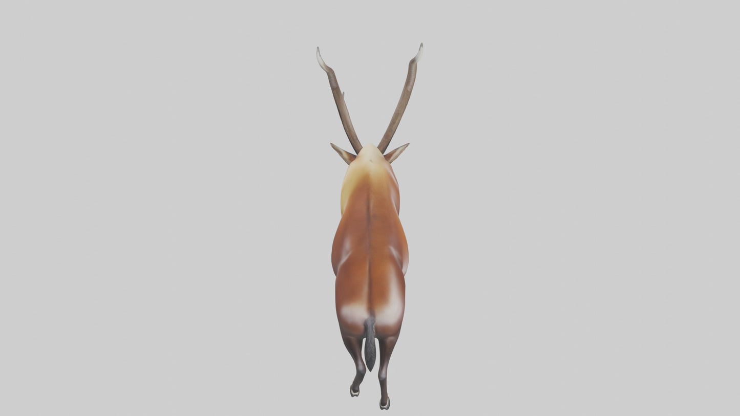 3D model Giant Sable Antelope grazing model VR / AR / low-poly