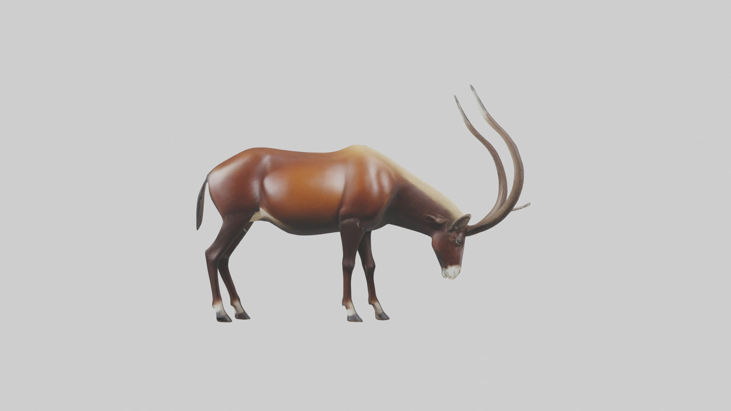 3D model Giant Sable Antelope grazing model VR / AR / low-poly