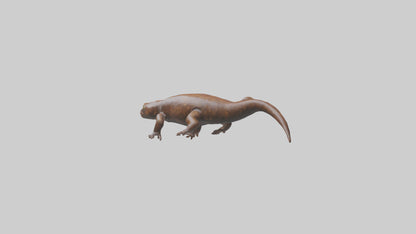 Giant Salamander swimming model VR / AR / low-poly