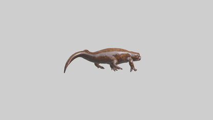 Giant Salamander swimming model VR / AR / low-poly