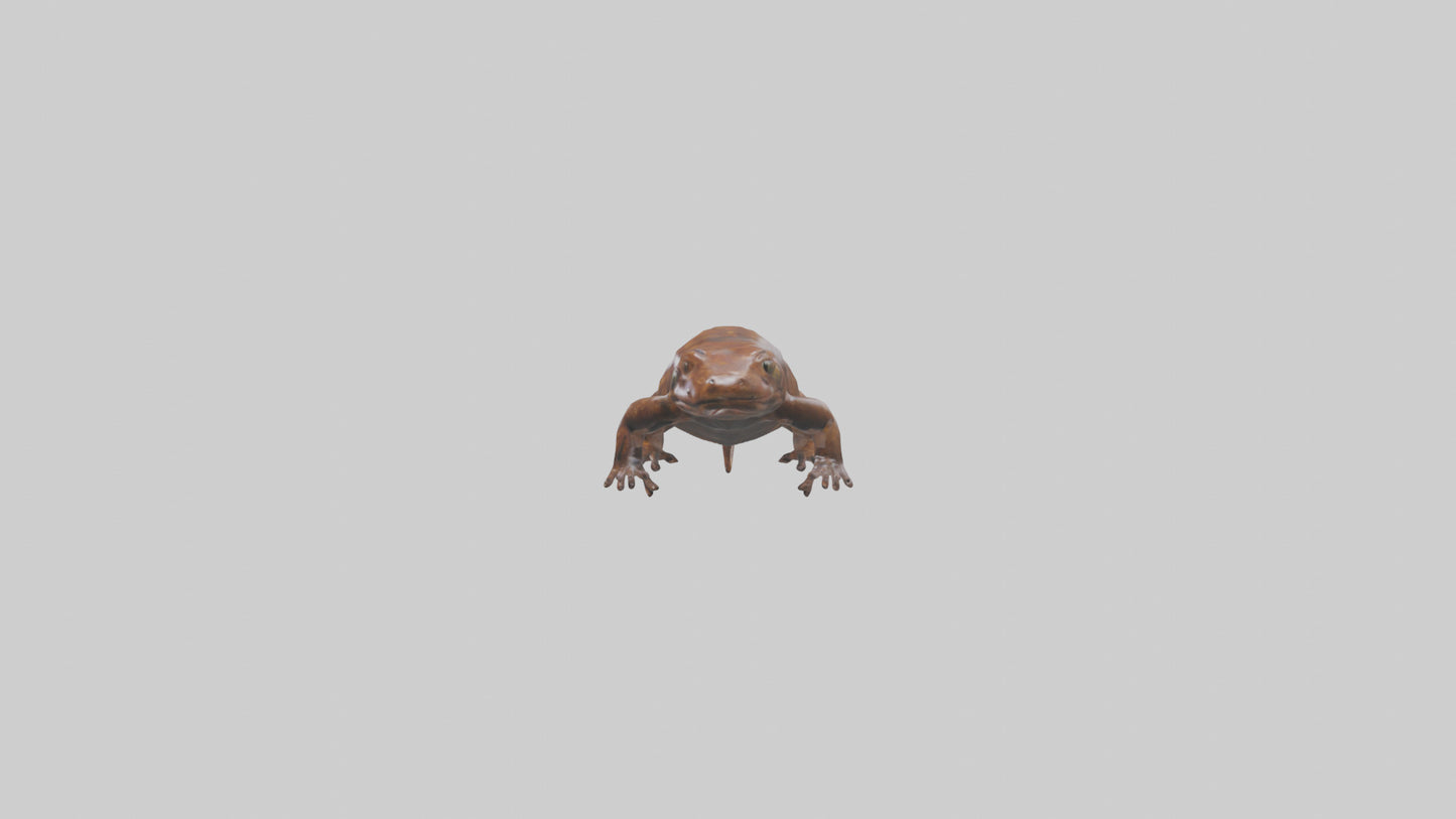 Giant Salamander swimming model VR / AR / low-poly