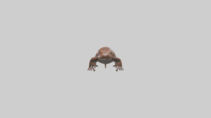Giant Salamander swimming model VR / AR / low-poly
