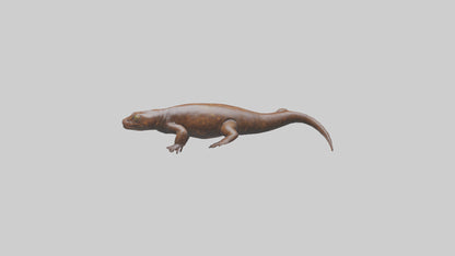 Giant Salamander swimming model VR / AR / low-poly