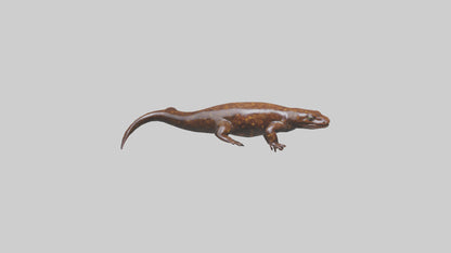 Giant Salamander swimming model VR / AR / low-poly