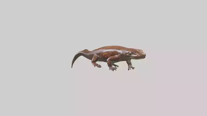 Giant Salamander swimming model VR / AR / low-poly