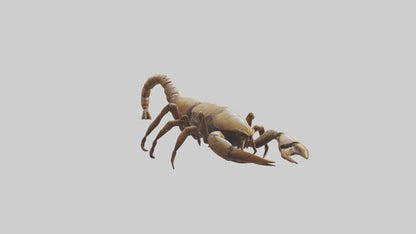 3D model Giant Scorpion model VR / AR / low-poly