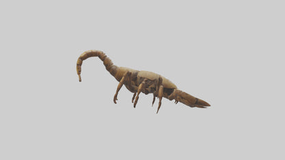 3D model Giant Scorpion model VR / AR / low-poly