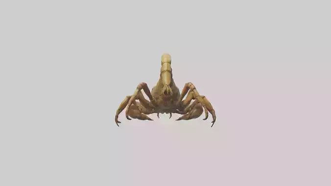 3D model Giant Scorpion model VR / AR / low-poly