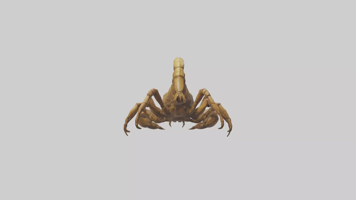 3D model Giant Scorpion model VR / AR / low-poly