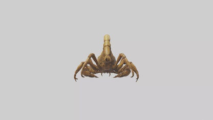 3D model Giant Scorpion model VR / AR / low-poly