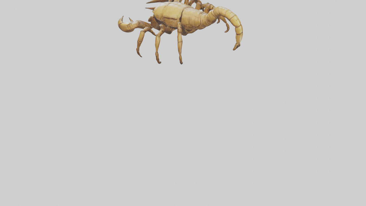 3D model Giant Scorpion model VR / AR / low-poly