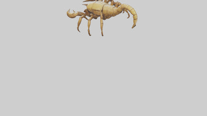 3D model Giant Scorpion model VR / AR / low-poly