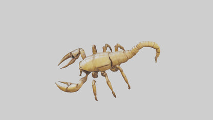 3D model Giant Scorpion model VR / AR / low-poly