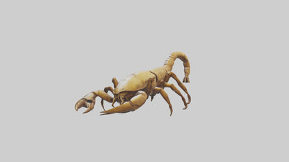 3D model Giant Scorpion model VR / AR / low-poly