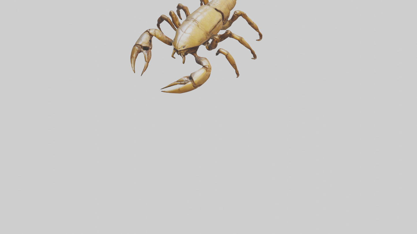 3D model Giant Scorpion model VR / AR / low-poly