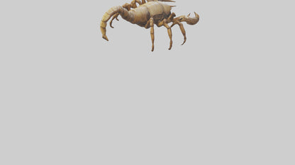 3D model Giant Scorpion model VR / AR / low-poly