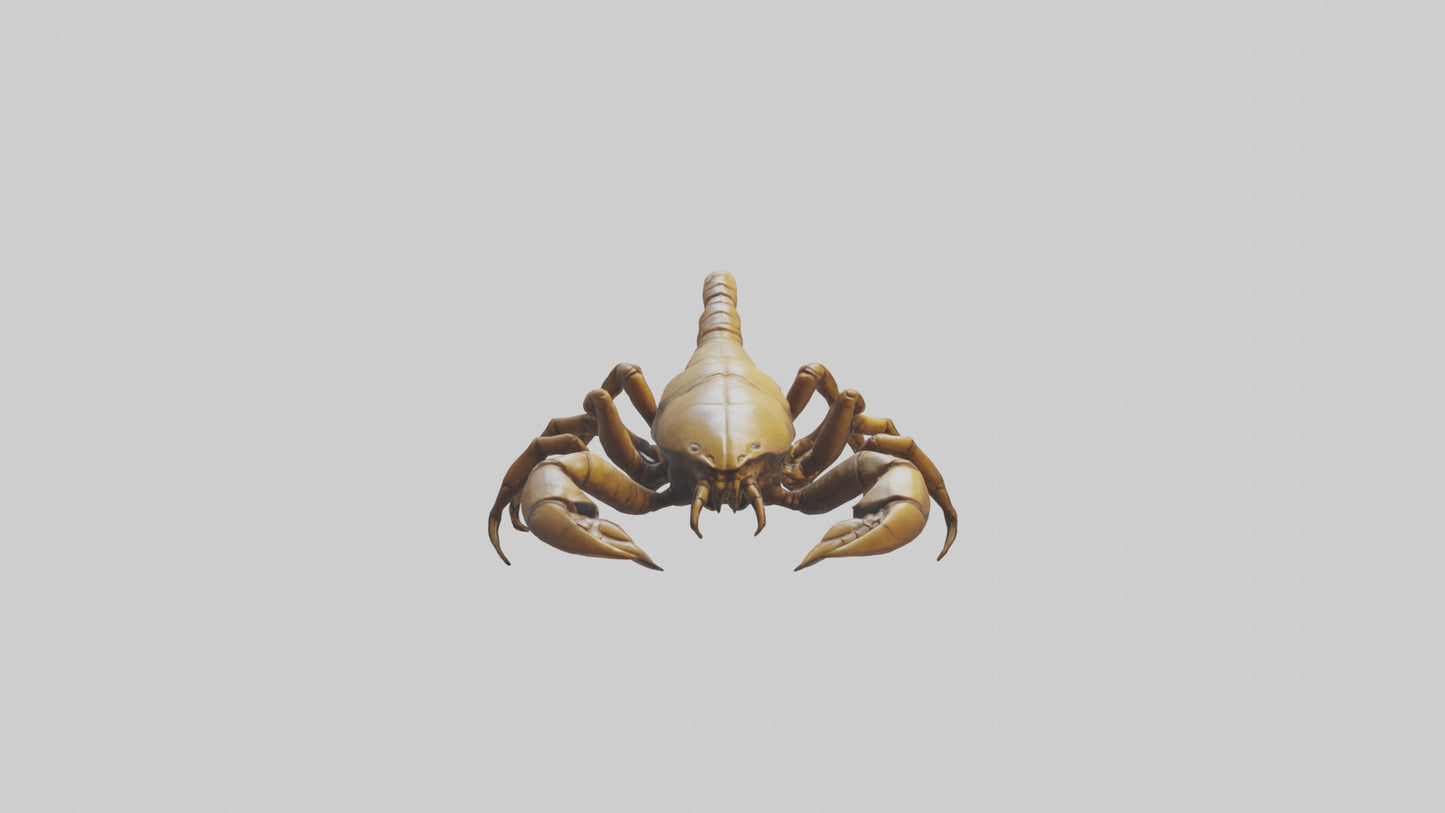 3D model Giant Scorpion model VR / AR / low-poly