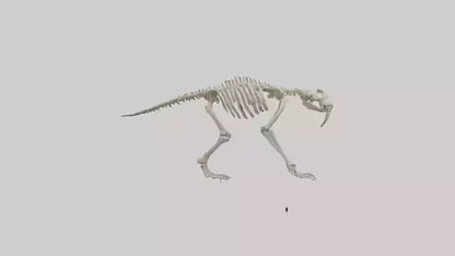 3D model Giant Sloth Skeleton model VR / AR / low-poly