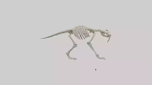 3D model Giant Sloth Skeleton model VR / AR / low-poly