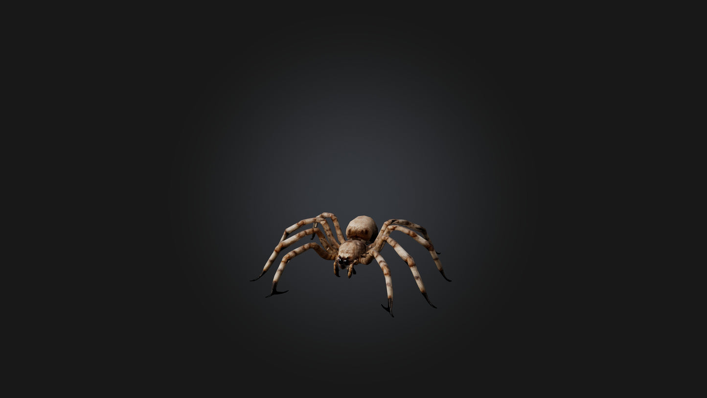 3D model Giant Spider VR / AR / low-poly