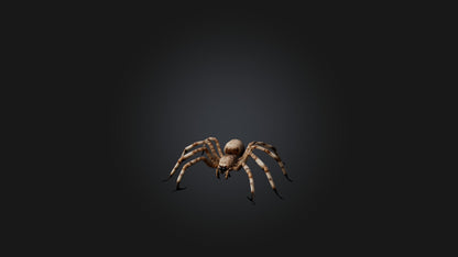 3D model Giant Spider VR / AR / low-poly