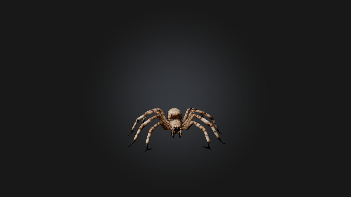 3D model Giant Spider VR / AR / low-poly