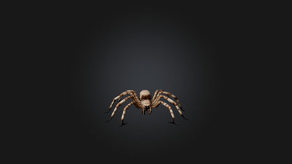 3D model Giant Spider VR / AR / low-poly
