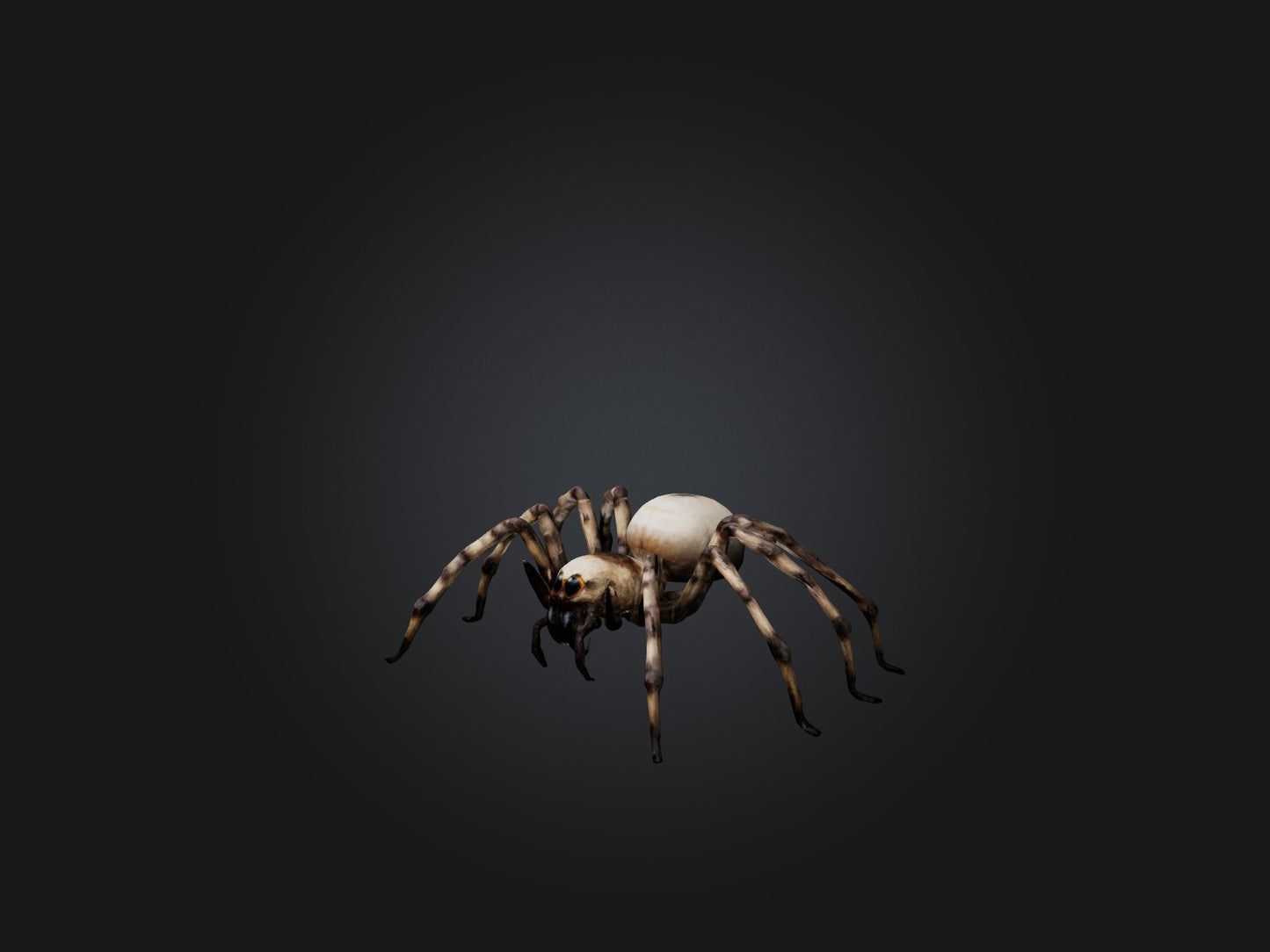 3D model Giant Spider VR / AR / low-poly