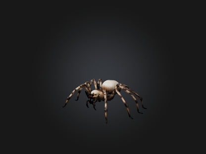 3D model Giant Spider VR / AR / low-poly
