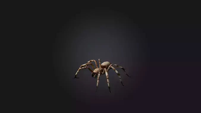 3D model Giant Spider VR / AR / low-poly
