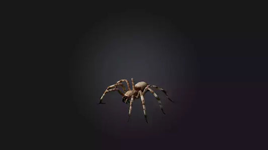 3D model Giant Spider VR / AR / low-poly