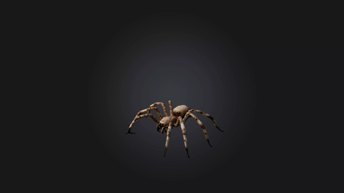 3D model Giant Spider VR / AR / low-poly