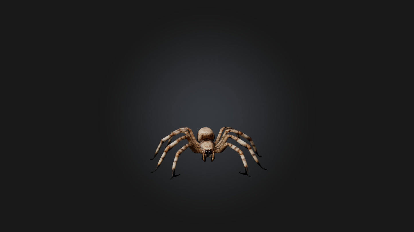 3D model Giant Spider VR / AR / low-poly