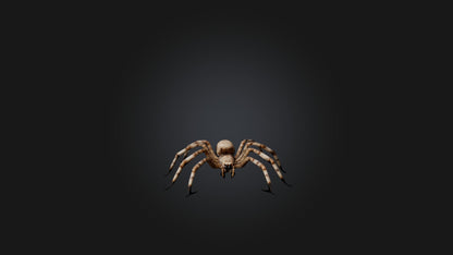 3D model Giant Spider VR / AR / low-poly