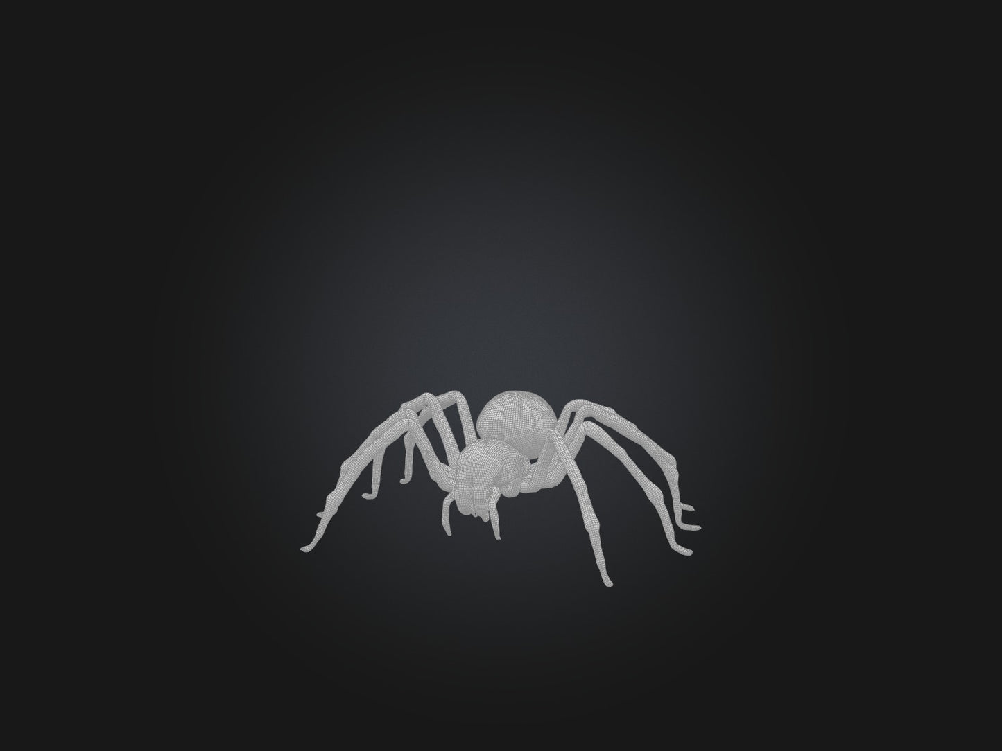 3D model Giant Spider VR / AR / low-poly