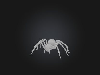 3D model Giant Spider VR / AR / low-poly
