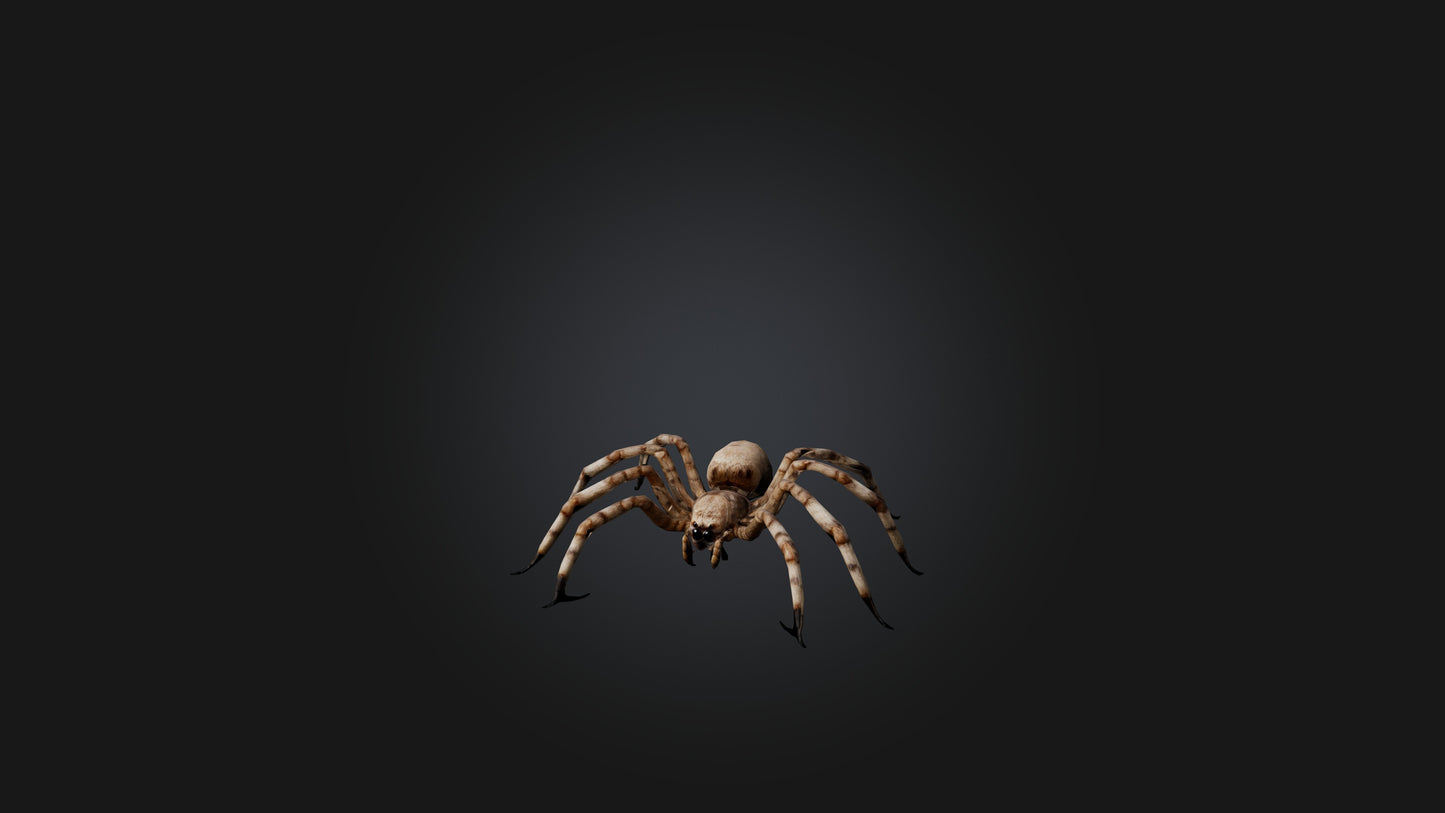 3D model Giant Spider VR / AR / low-poly