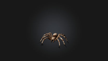 3D model Giant Spider VR / AR / low-poly